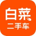 白菜二手車app官方版